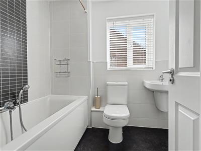 Picture 17